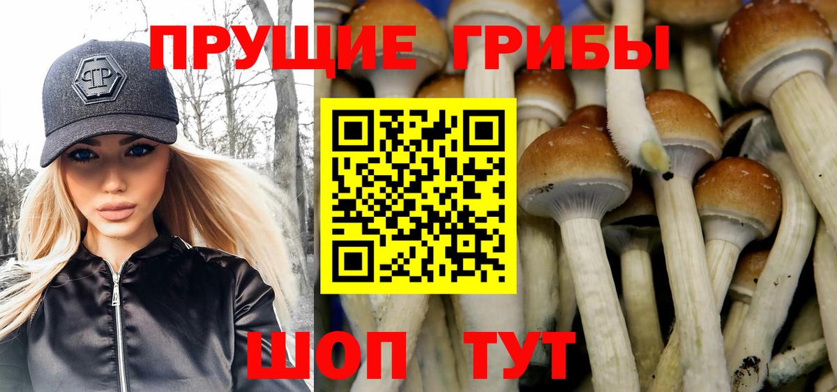 Псилоцибиновые грибы MAGIC MUSHROOMS Иваново